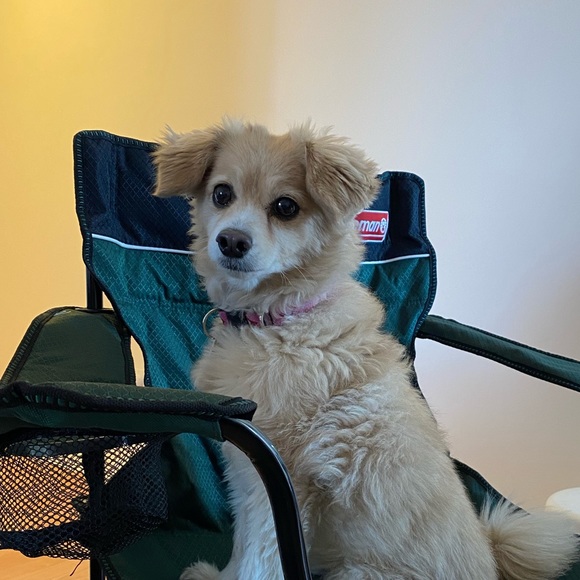 Meet your Posher, David - Picture 1 of 1